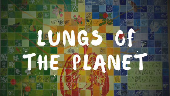 Lungs of the Planet
