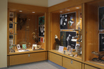 Display cases II by Department of Biology and Department of Visual Arts