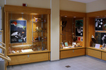 Display cases III by Department of Biology and Department of Visual Arts