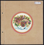 Scrapbook of Materials Pertaining to the Catholic Deaf Community, 1957-1993 by Arvilla Rank