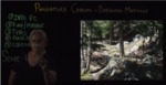Purgatory Chasm Library Research Strategy by Barbara Merolli and David Banville