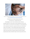 The Pressing Necessity for Maternal Healthcare Reform in the US by Chelsea Cousin