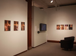 Exhibition Installation Photograph: Chelsea Jenkins by Cantor Art Gallery