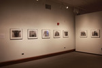 Exhibition Installation Photograph: Jack Butler by Cantor Art Gallery