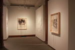 Exhibition Installation Photograph: Kit Wallace by Cantor Art Gallery