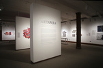 Exhibition Installation Photograph: Metanoia 3 by Cantor Art Gallery