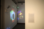 Exhibition Installation Photograph: Peluso 4 by Cantor Art Gallery
