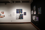 Exhibition Installation Photograph: Williams 1 by Cantor Art Gallery